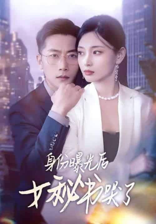 身份曝光后女秘书哭了（31集）刘雪君&张家川