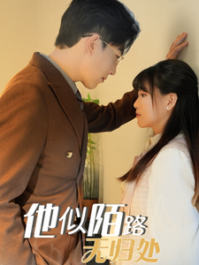 他似陌路无归处 (30 集) 赵宏伟 & 胡雪艺