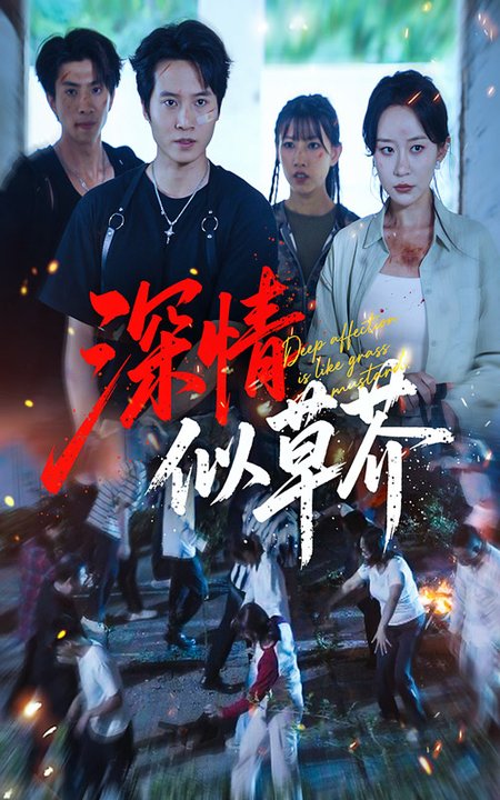 深情似草芥 (51 集) 源鑫 & 王瀚迎
