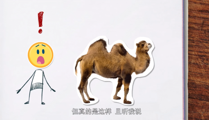 奇妙的世界  (120集) 儿童科普动画