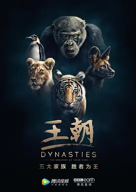 王朝 第一季 Dynasties Season 1 (2018) 纪录片