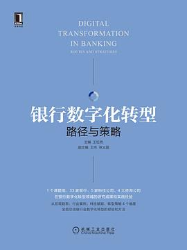 《数字化转型:博弈策略》 王松奇 epub下载