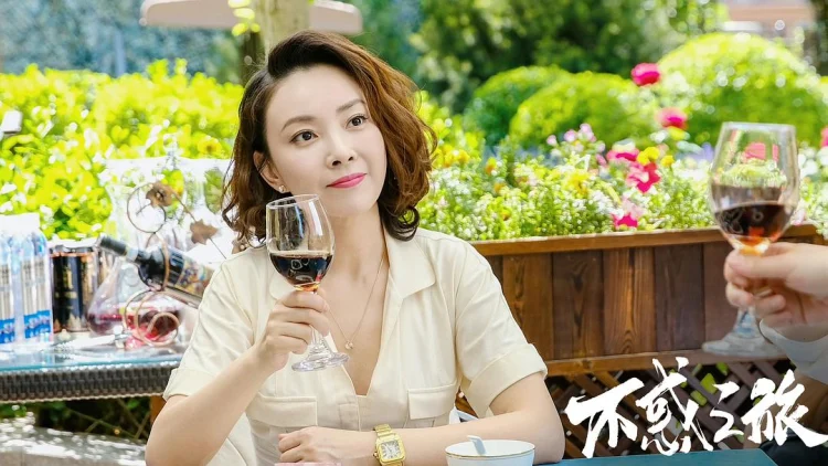 不惑之旅 剧照