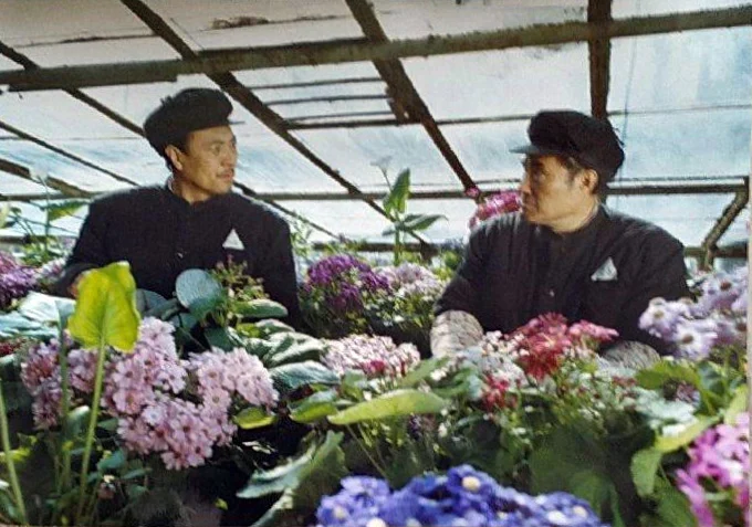 决战之后 剧照