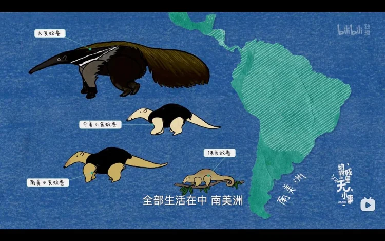 动物城里无小事 剧照