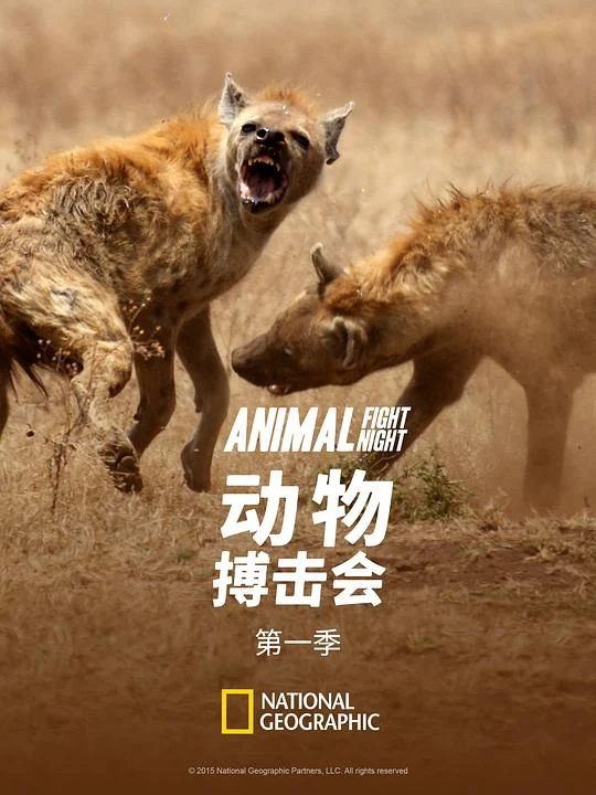动物搏击会 第一季 (2013) 中文字幕 1080P/4K