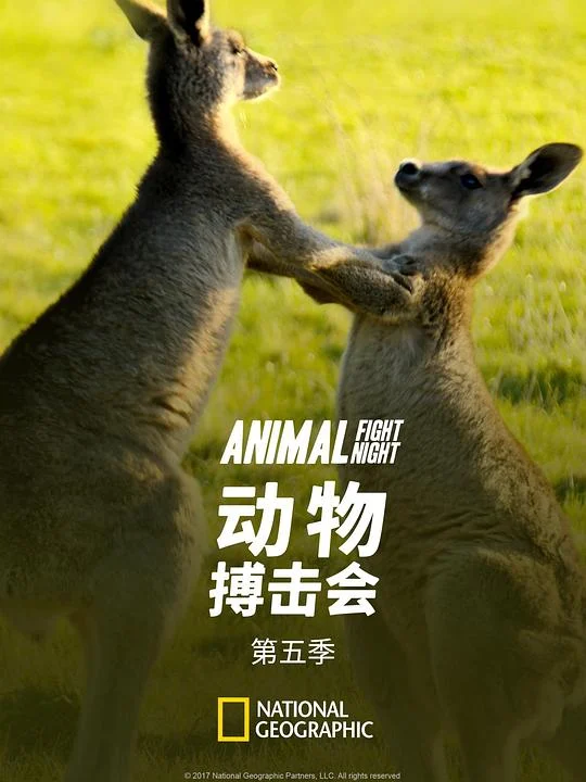 动物搏击会 第五季 剧照