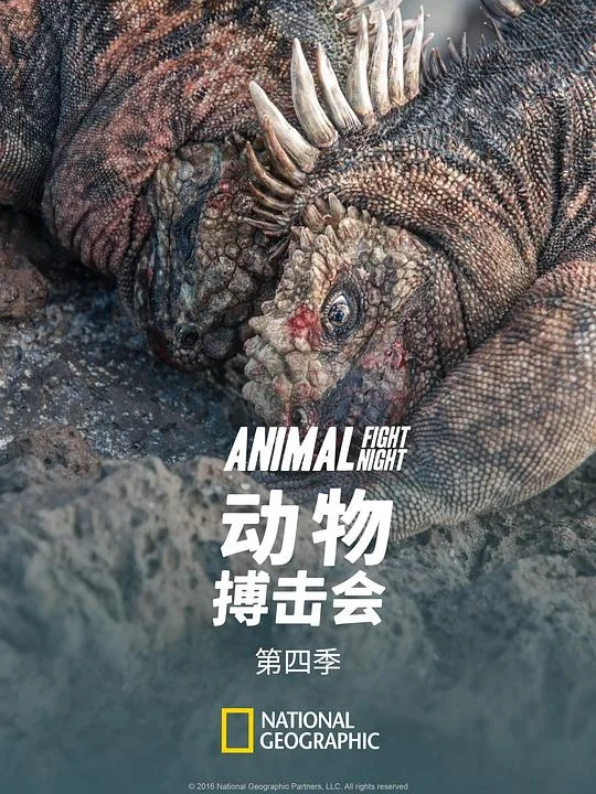 动物搏击会 第四季 (2016) 中文字幕 1080P/4K