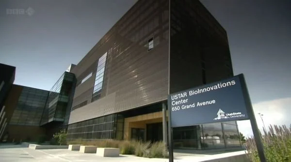 BBC地平线系列:扮演上帝——合成生物学前沿 剧照