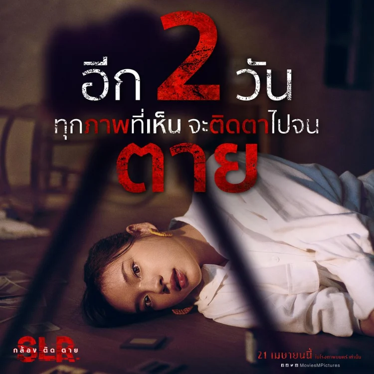 单反相机 (2022) 中文字幕 1080P/4K