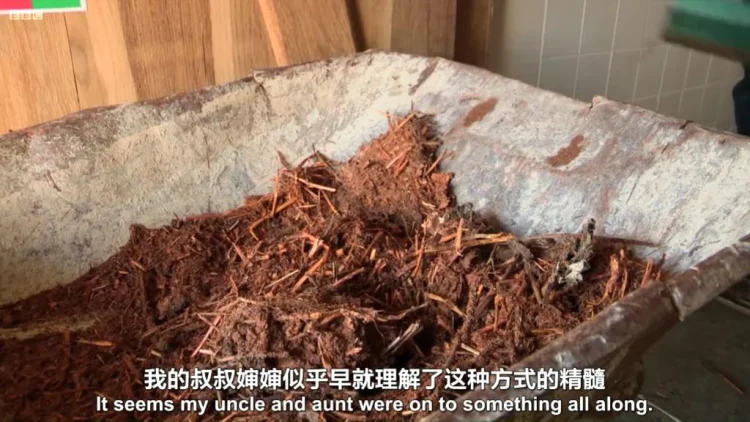 厕所秘史 剧照