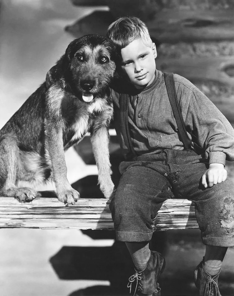原野奇侠 (1953) 中文字幕 1080P/4K