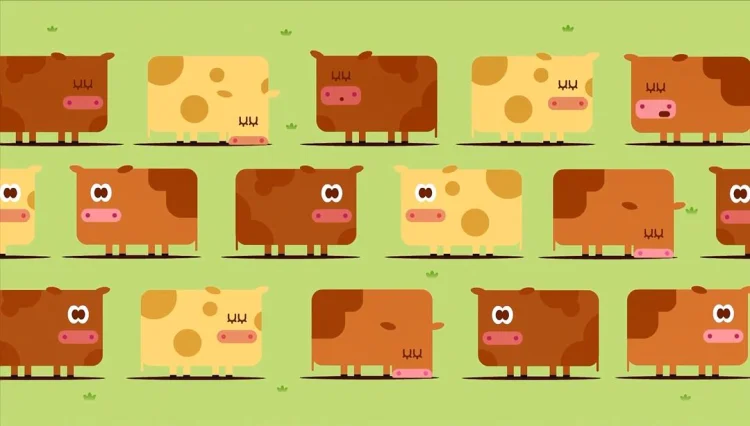嗨!道奇 第三季 剧照
