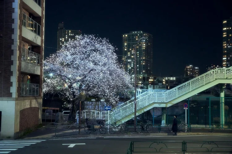 四月女友 剧照