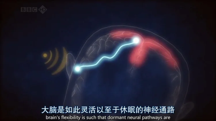 地平线系列:天才是怎样炼成的? 剧照