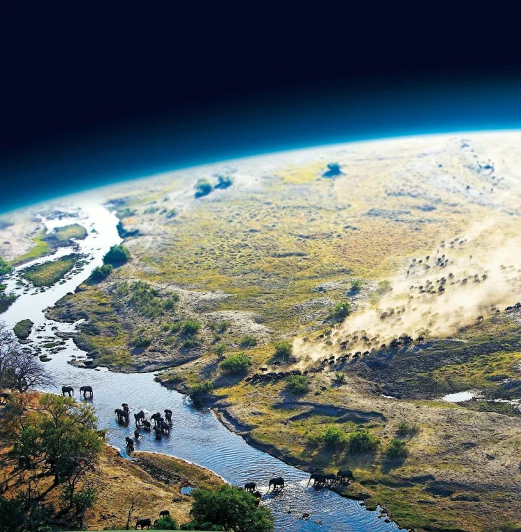 地球脉动 第一季 剧照