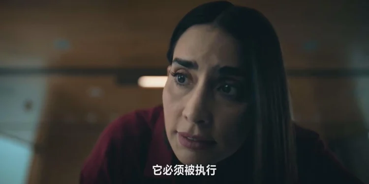 复仇双雄 剧照