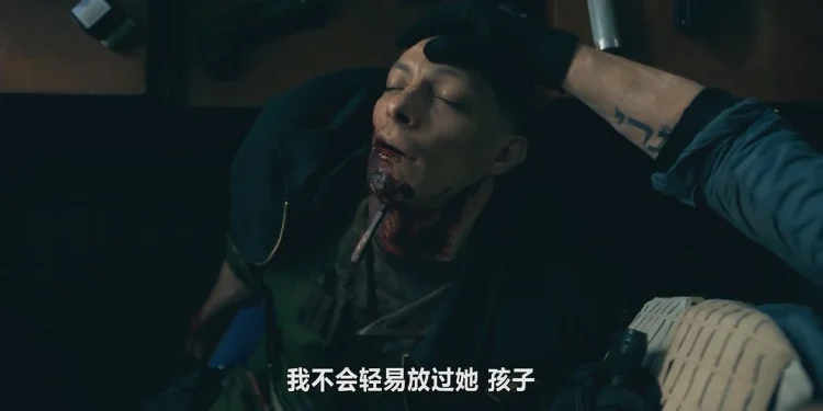 复仇双雄 剧照