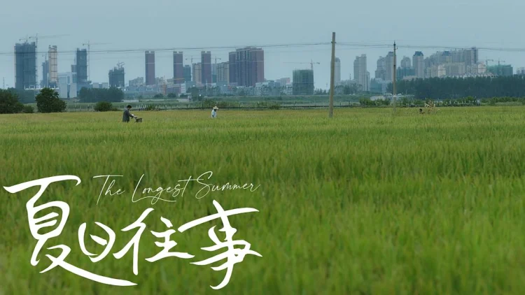 夏日往事 剧照