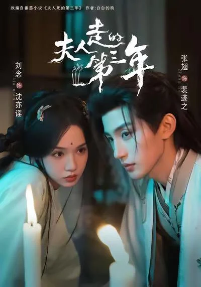 夫人走的第三年 剧照