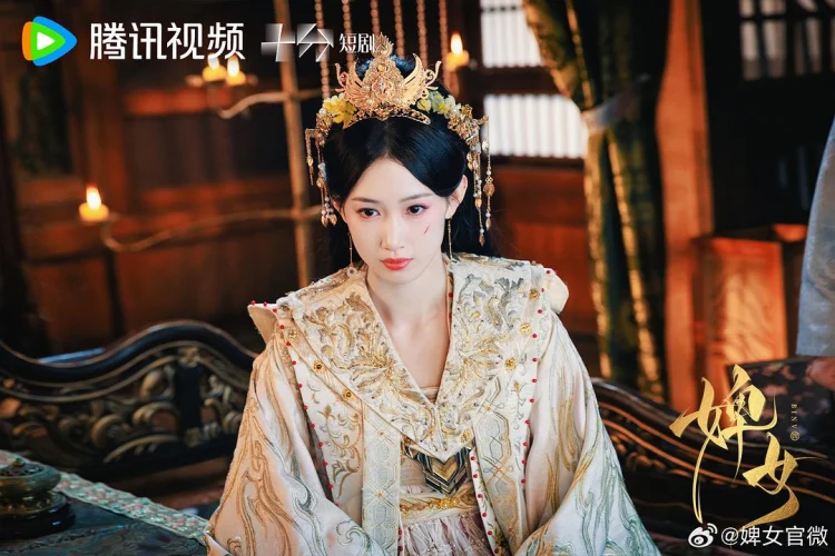 婢女 剧照