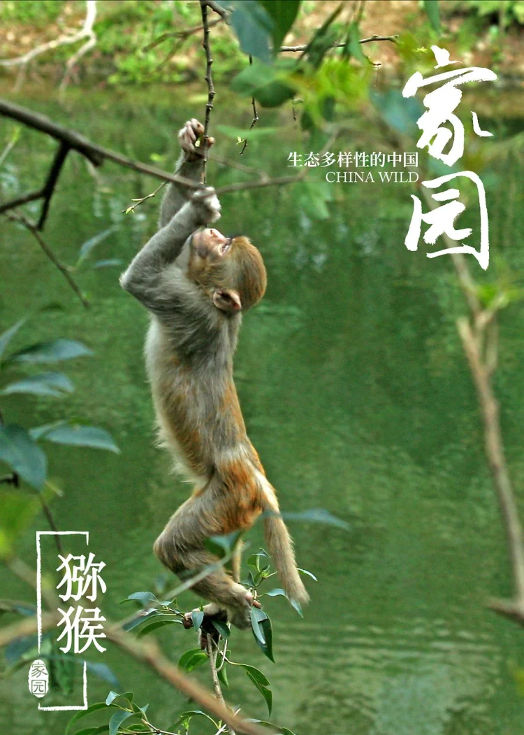 家园 生态多样性的中国 剧照