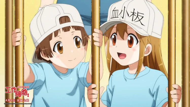 工作细胞：细胞大作战 (2020) 中文字幕 1080P/4K