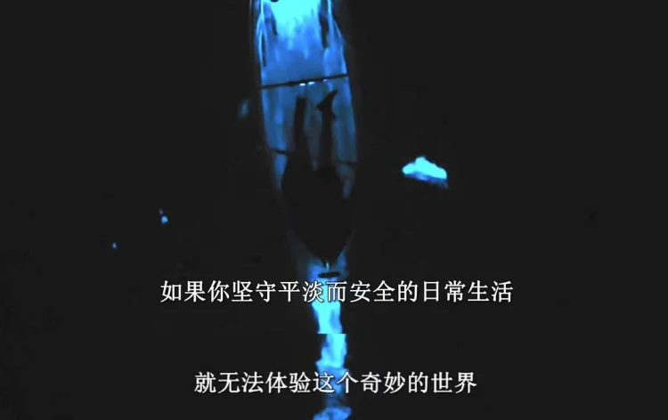 带你探索地球 剧照