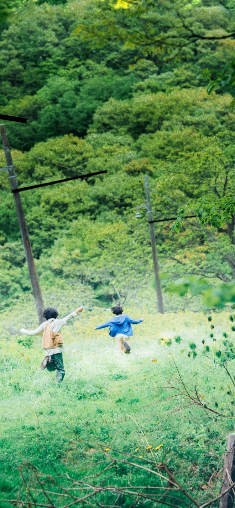 怪物 (2023) 中文字幕 1080P/4K