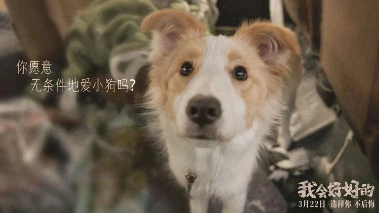 我会好好的 剧照