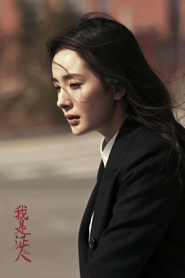 我是证人 (2015) 中文字幕 1080P/4K