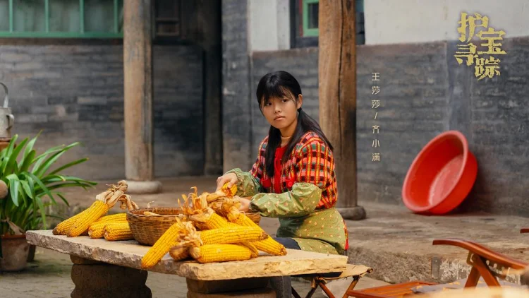护宝寻踪 剧照