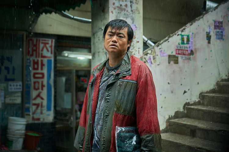 来自谁的启示 (2025) 中文字幕 1080P/4K