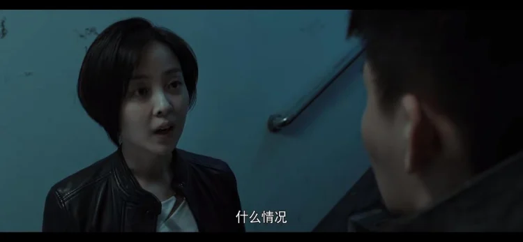 法网缉凶 (2025) 中文字幕 1080P/4K