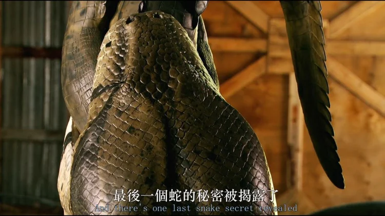 泰坦巨蟒 剧照